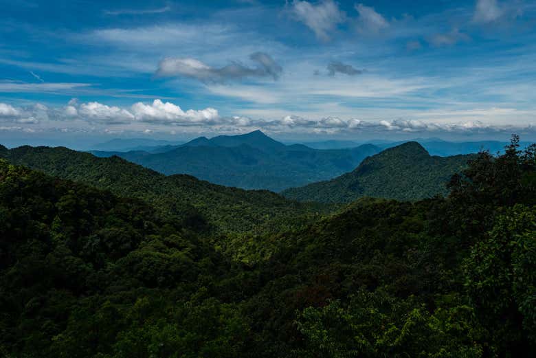 Parque Nacional Bach Ma