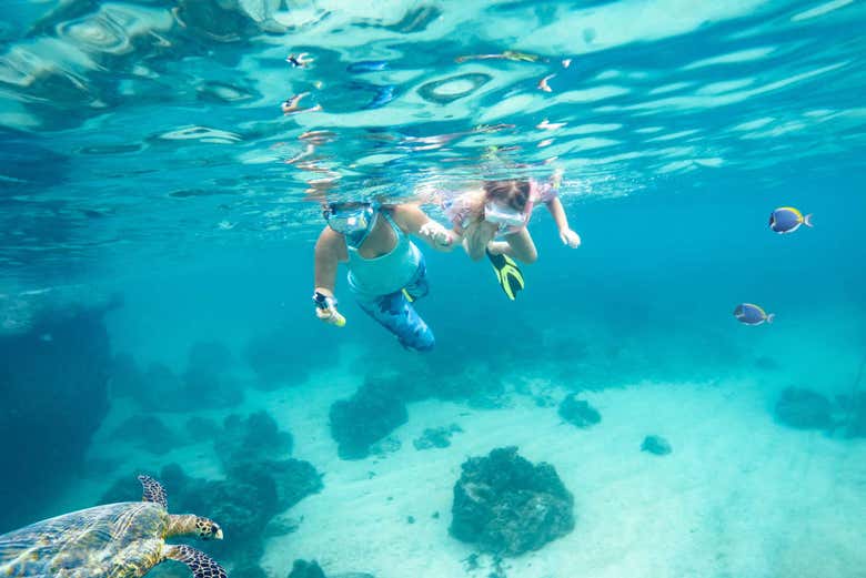 Fazendo snorkel em Gam Ghi