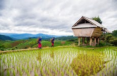 Randonnée dans les rizières de Sapa