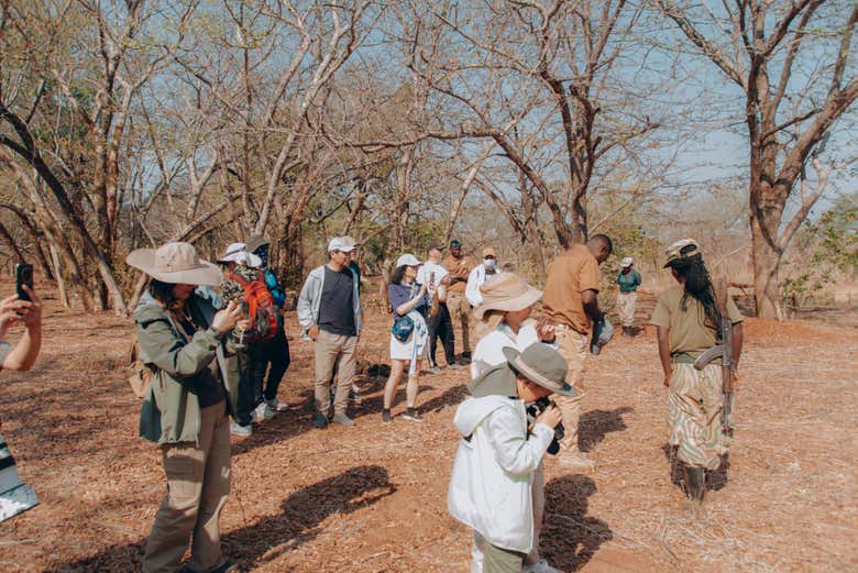 Descubriendo las huellas de los animales del parque