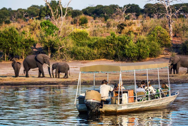 Passeio de barco pelo rio Chobe