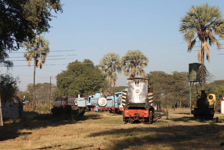 Trains au musée ferroviaire de Livingstone