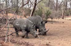 Safari por el Parque Nacional de Mosi-Oa-Tunya