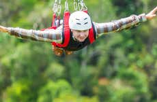 Flying Fox au-dessus du fleuve Zambèze