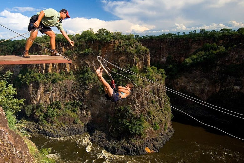 Gorge swing at the Victoria Falls