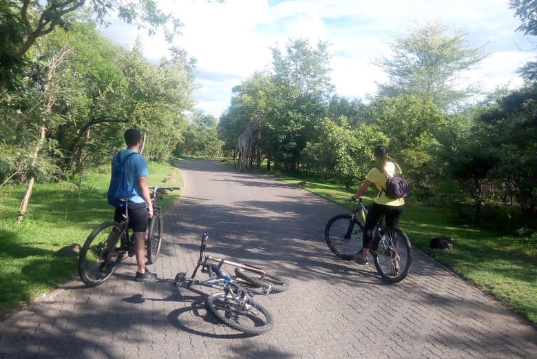 biking Vic falls