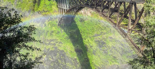 Saut à l'élastique aux chutes Victoria