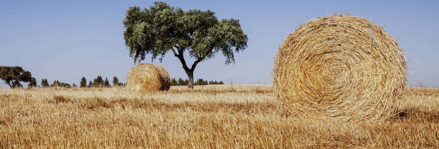 Alentejo