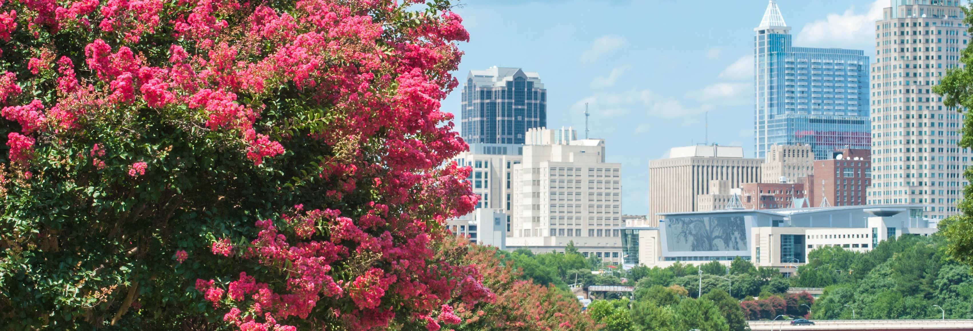 North Carolina