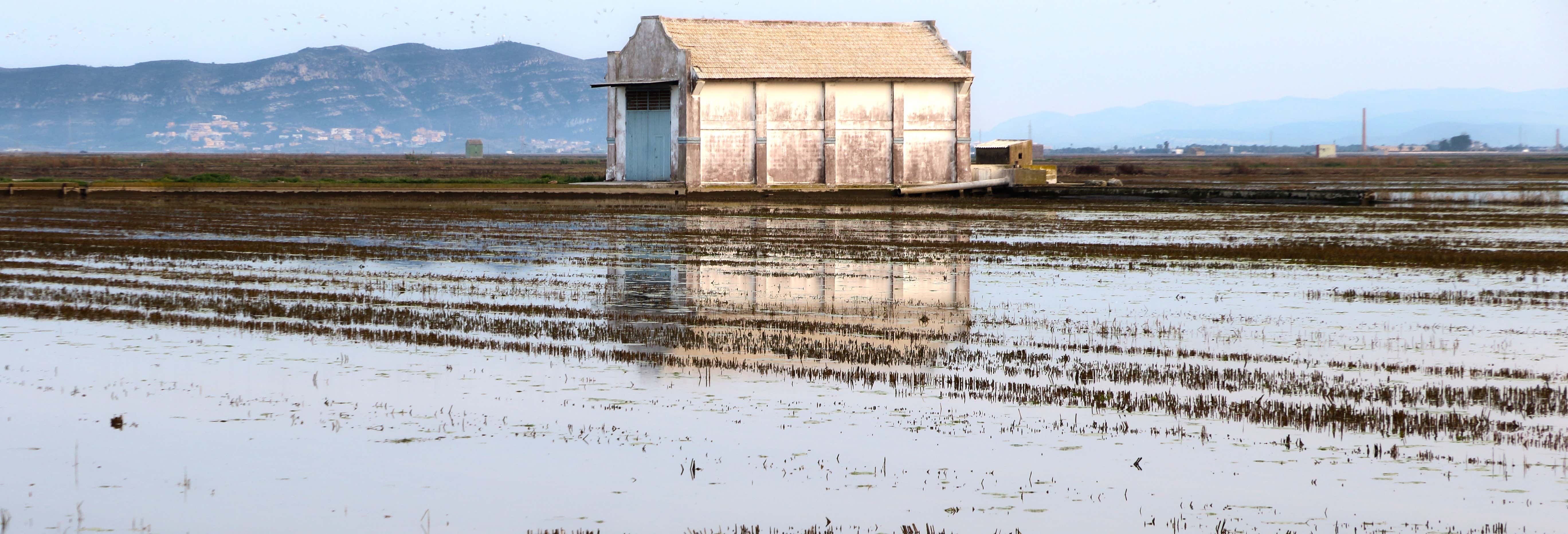 Albufera Natural Park