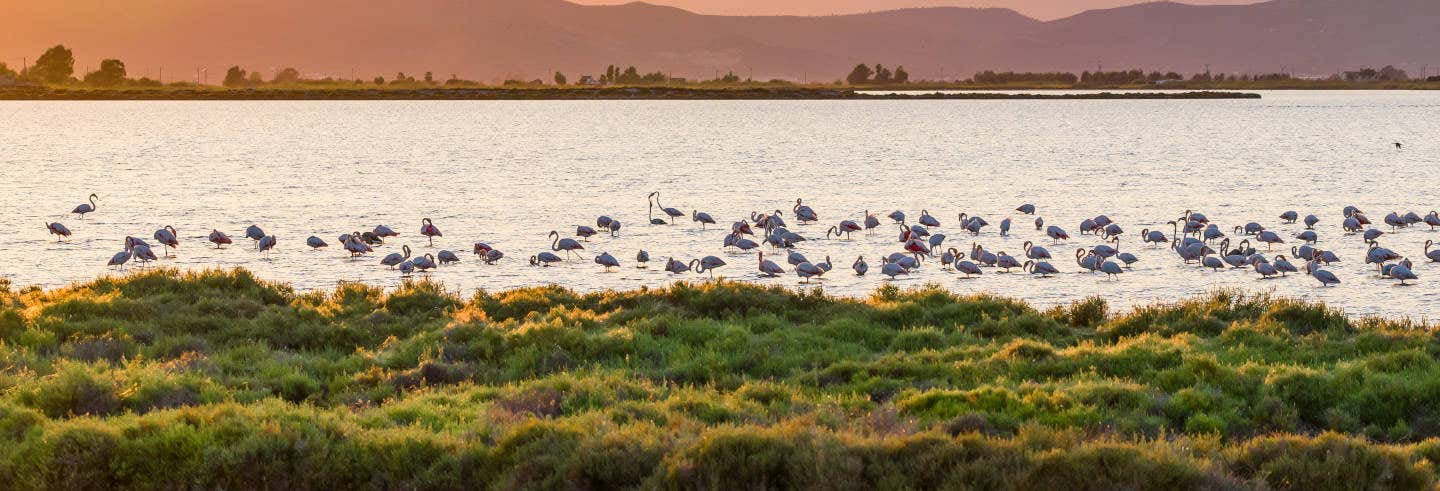 Parque Natural del Delta del Ebro