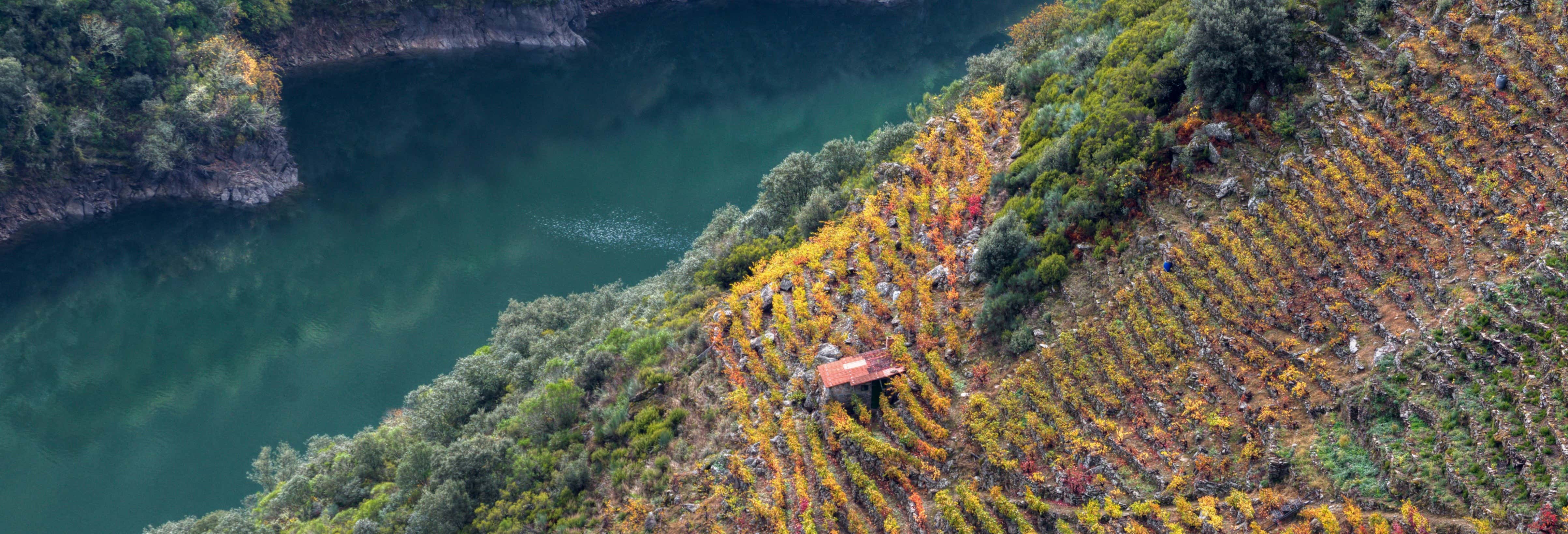 Ribeira Sacra