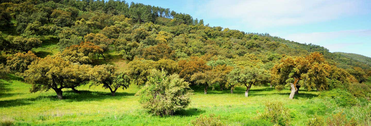 Sierra de Aracena National Park