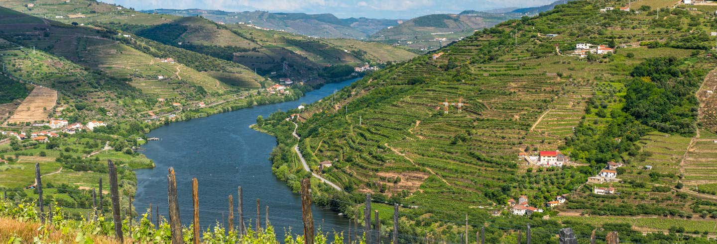 Douro Valley