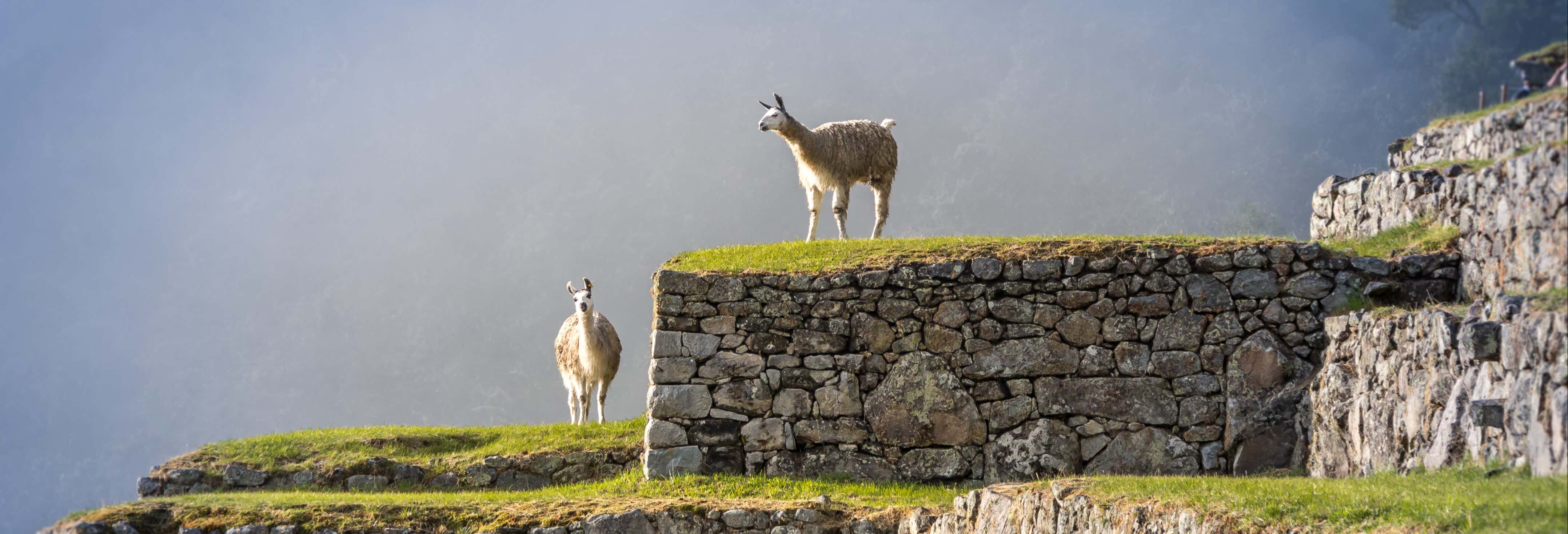 Valle Sagrado de los Incas