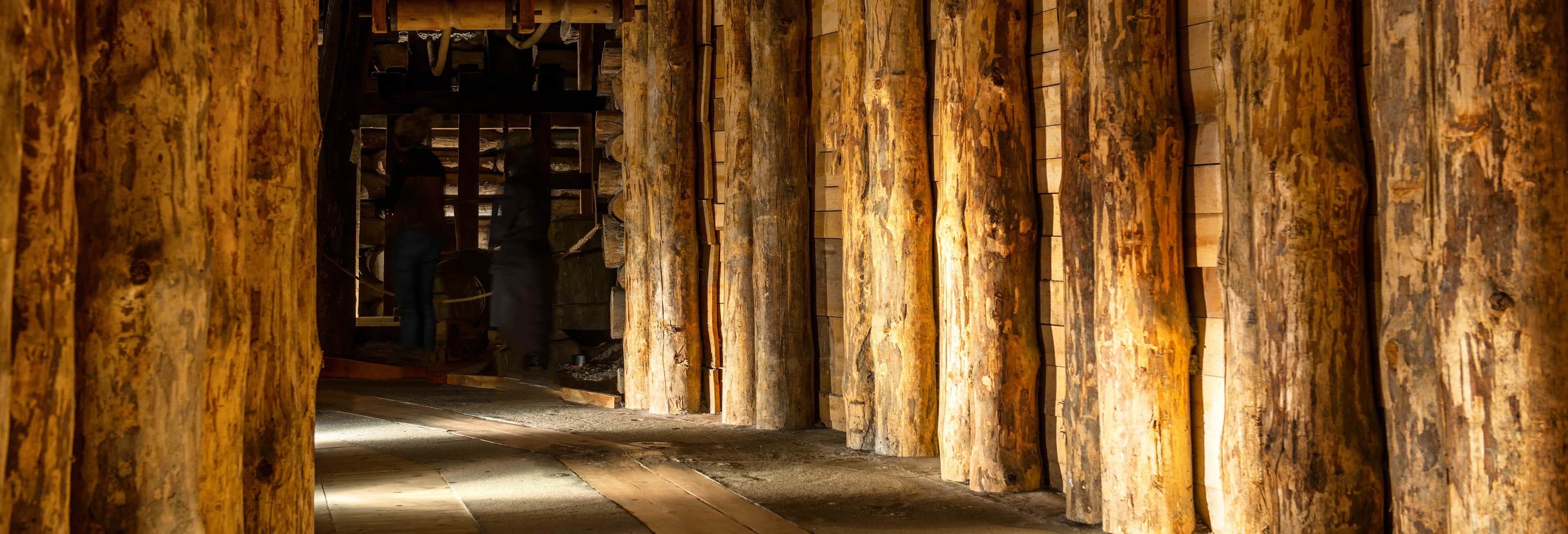 Excursión a las Minas de Sal de Wieliczka