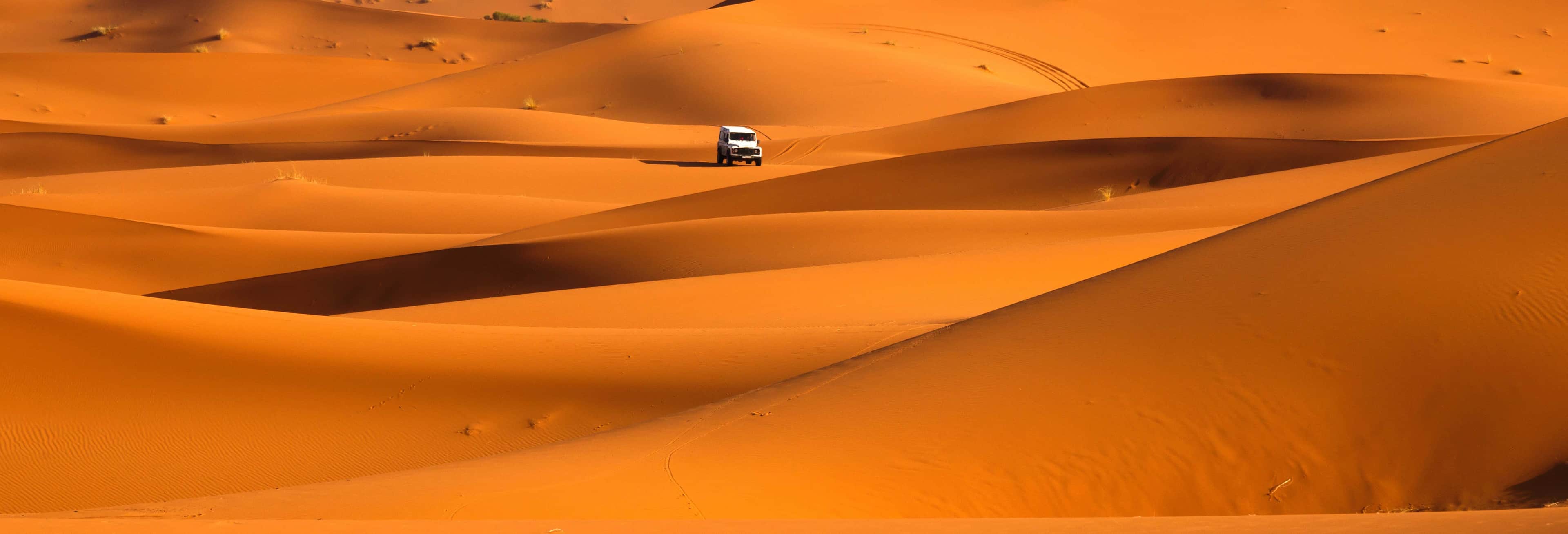 Desert Safari con cena y espectáculo